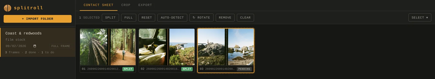 The contact sheet: a roll of three half-frame scans with the cut marked on each. Two are split, one is still pending.