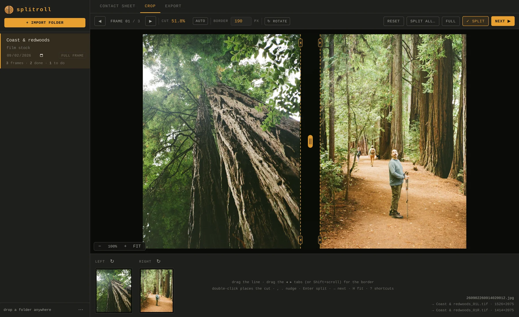 Splitroll's Crop view with a half-frame scan from the redwoods: a tree trunk shot from below on the left, a hiker on a forest trail on the right, and the cut line between them.
