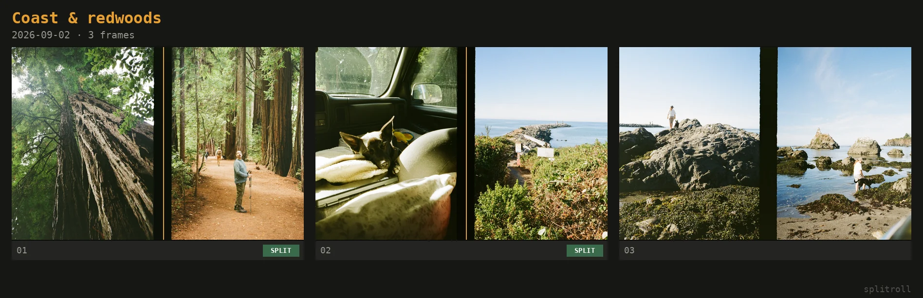 An exported contact sheet: three half-frame scans in a row with frame numbers and status underneath, and the roll name and date at the top.